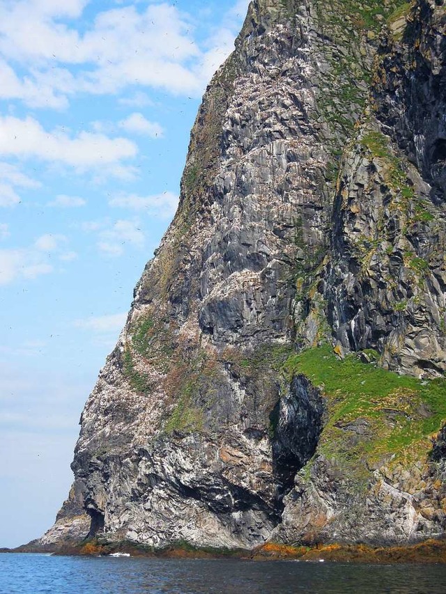 Die felsige Kste von Runde, Skandinaviens populrster Vogelinsel.  | Foto: Gnter Schenk