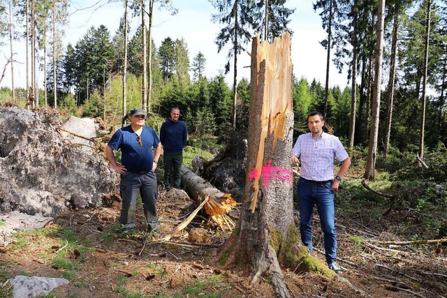 Inmitten der Sturmschden, deretwegen ...t (Brgermeister hlingen-Birkendorf).  | Foto: Otto Schnekenburger