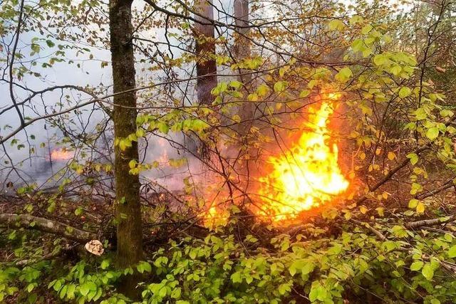 70 Feuerwehrleute löschen Waldbrand bei Hauingen