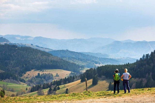 Wandern mit Abstand sollte im Sommer im Schwarzwald  mglich sein.  | Foto: Philipp von Ditfurth (dpa)