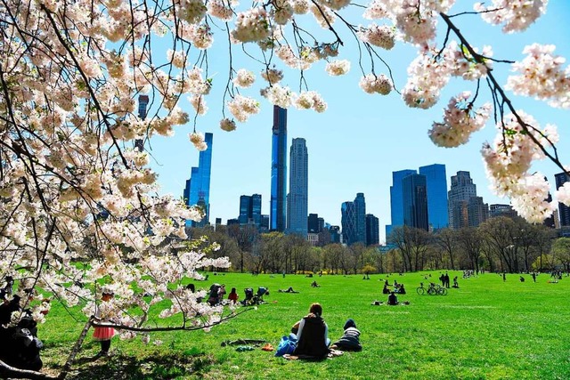Der Central Park in New York entstand ...tadt in den 1830er-Jahren heimsuchte.   | Foto: Han Fang