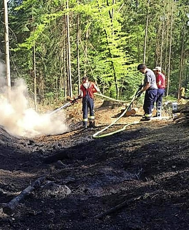 Schon im April ist die Waldbrandgefahr... Einsatz in Niederhof erfahren musste.  | Foto: FEuerwehr Murg