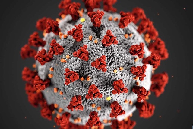 Das Coronavirus (Illustration) sorgt auch im Hochschwarzwald  fr Unsicherheit.  | Foto: Cdc (dpa)