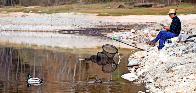 Eine Frage der Geduld: Ein Rotauge nac...ren holte dieser  Angler aus dem See.   | Foto: Wolfgang Scheu