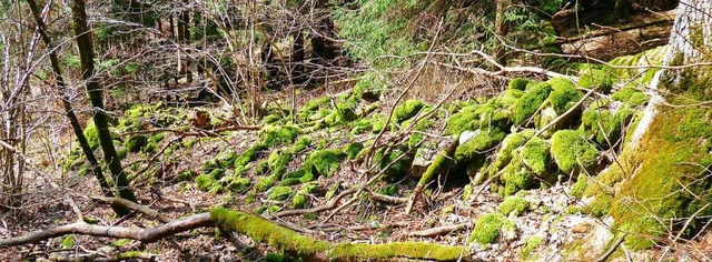 Stumme Zeitzeugen aus Stein: Eine der ...uern im Wald stlich von Elbenschwand.  | Foto: privat