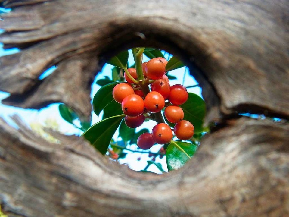 Auszeit ist auch die Mue, die&#8217;s fr ein Foto braucht.  | Foto: Eva Bdenbender