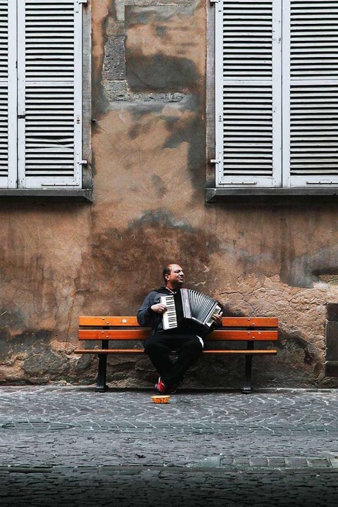 Auszeit allein im Hof?  | Foto: Max Borchardt