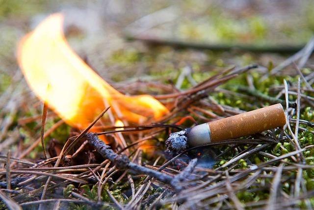 Feuerwehr kann Waldbrand in Freiburg-Gnterstal mit Mhe lschen