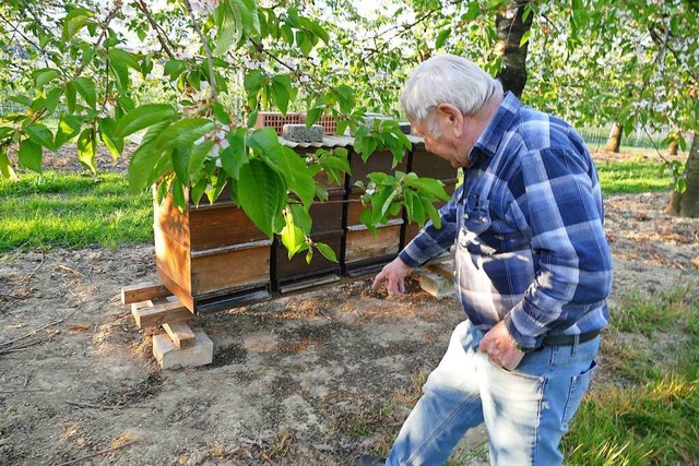 Jrgen Thring ist einer der Imker, die  das Sterben ihrer Bienen bemerkt haben.  | Foto: Victoria Langelott