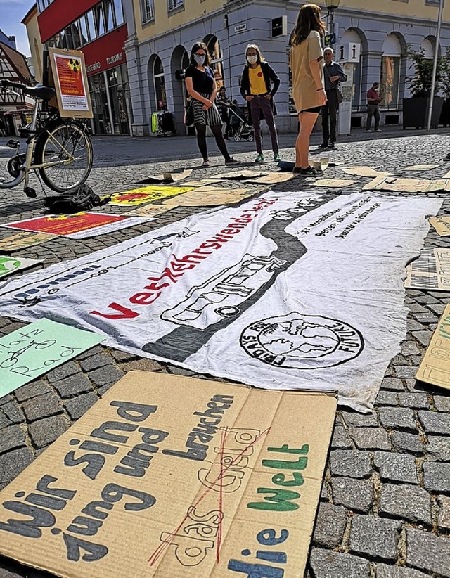 Fridays for Future-Aktivistinnen mit Demo-Plakaten   | Foto: Ralf Burgmaier