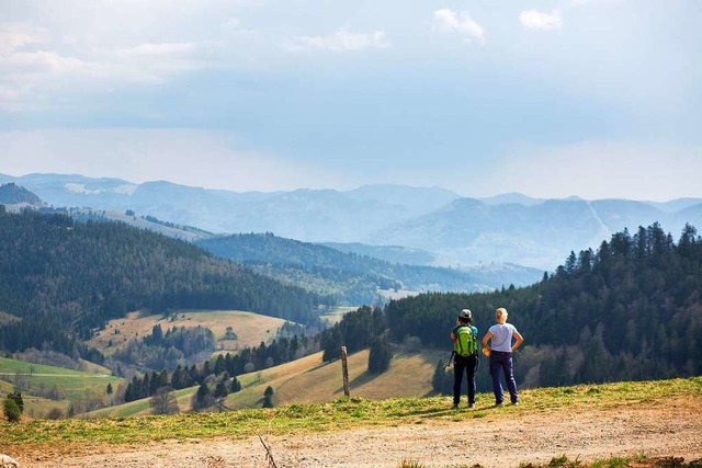 Entdecke deine Heimat: Schwarzwaldblick nahe dem Nonnenmattweiher  | Foto: Philipp von Ditfurth (dpa)