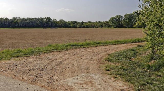 Auf dem Gelnde entlang des Waldes nr...nie &#8222;Burggrn&#8220; entstehen.   | Foto: Ruth Seitz