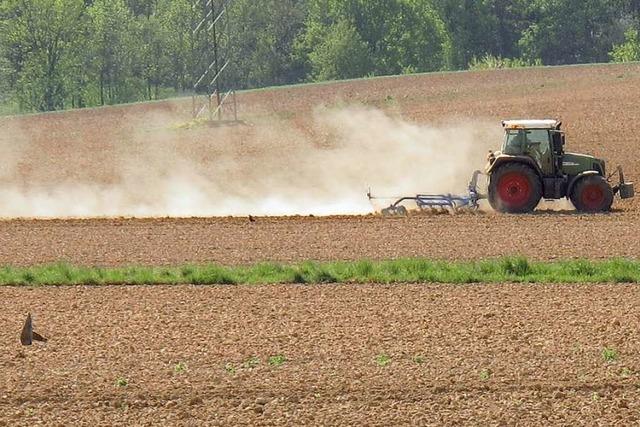 Landwirte machen sich Sorgen: Der Boden wird zu Beton