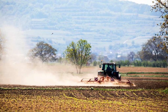 Ein Landwirt bearbeitet im April diese...mert aufgrund der aufsteigenden Wrme.  | Foto: Philipp von Ditfurth (dpa)