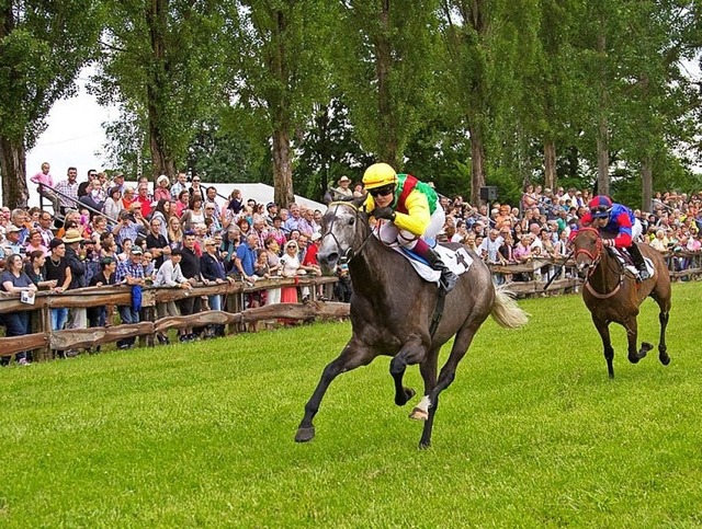 Das Meienheimer Pferderennen fllt in diesem Jahr aus.   | Foto: Verein