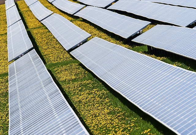 Ein solcher Solarpark mit mehreren Ele... Hektar groen Flche gebaut werden.    | Foto: Nicolas Armer