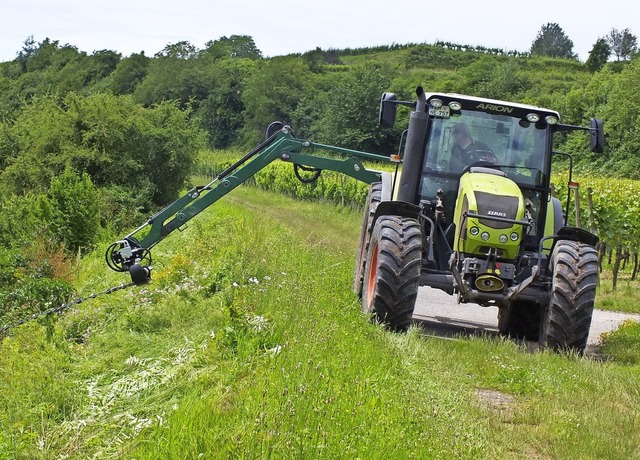 Damit bei der Mahd von Wegrndern und ...ofmitarbeiter und Landschaftspfleger.   | Foto: Reinhold Treiber