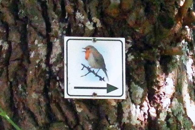 Auf dem Vogellehrpfad im Hexental weist das Rotkehlchen den Weg