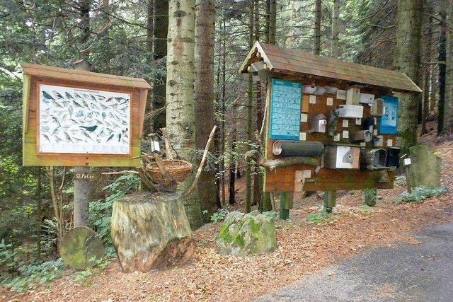 Naturlehrpfad in St. Peter bietet Infos rund um das Thema Wald