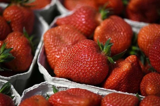 Endlich Erdbeeren!  | Foto: Patrick Seeger (dpa)