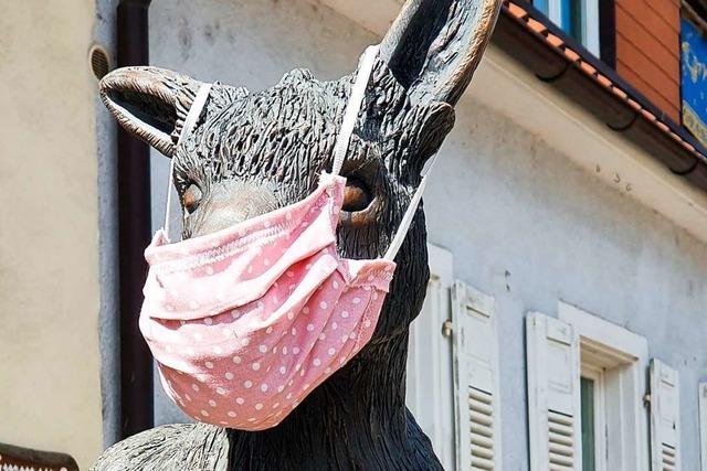 Ein Esel in Ihringen trägt Corona-Mundschutz