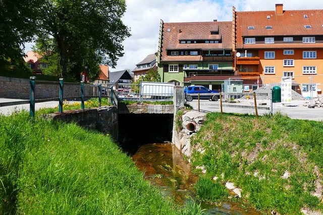 Der Kanal, durch den der Bittenbach fliet, muss dringend saniert werden.  | Foto: Martin Wunderle