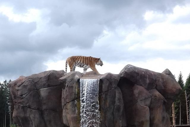 Freizeitpark Tatzmania erffnet wieder