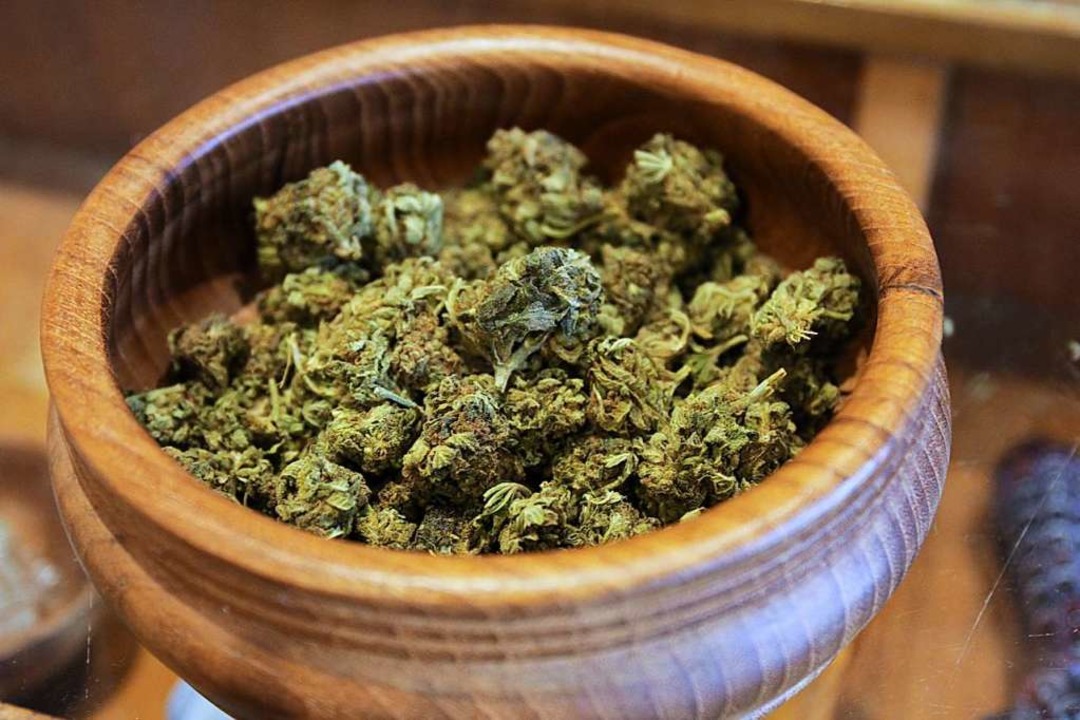 CBD-Gras ist von normalen Cannabisblt...teil uerlich nicht zu unterscheiden.  | Foto: Felix Klingel