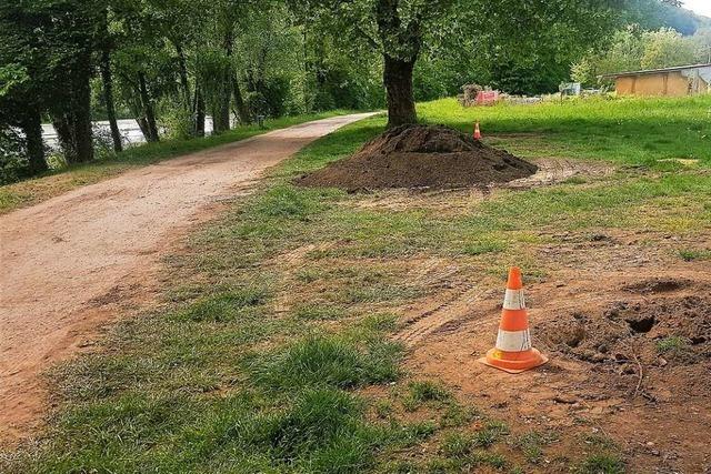 Endgltiges Aus fr den Grillplatz am Rheinufer in Bad Sckingen