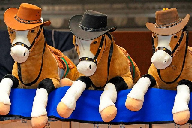 Fr Pferde gilt kein Mindestabstand &#...eimer Turnier ran drfen, ist offen.    | Foto: Martin Schutt