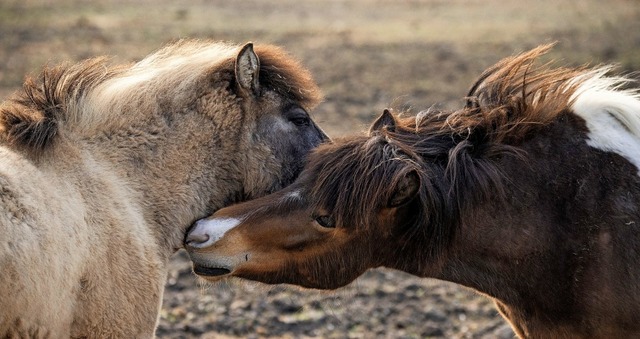   | Foto: Boris Roessler (dpa)