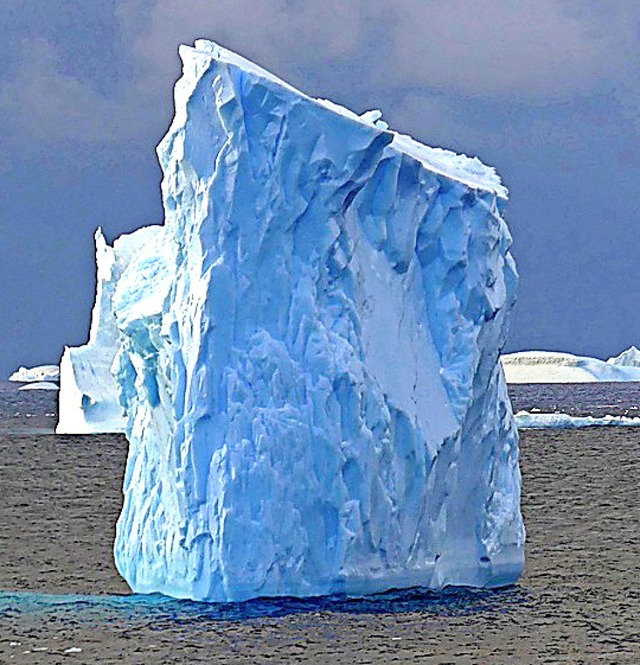 Viele Eisberge sind bizarr geformt.  | Foto: Willi Germund