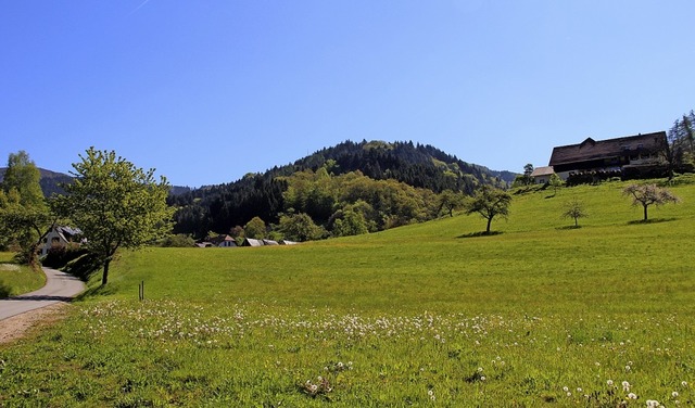 Unter anderem im  Gebiet Seltenacker werden Baumglichkeiten geprft.  | Foto: Rolf-Dieter Kanmacher