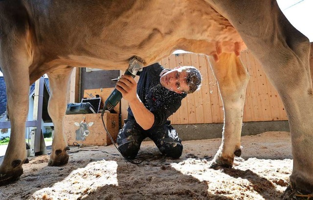 Mit dem Rasierer  hebt Guggemos die Schokoladenseiten  hervor.  | Foto: Karl-Josef Hildenbrand (dpa)