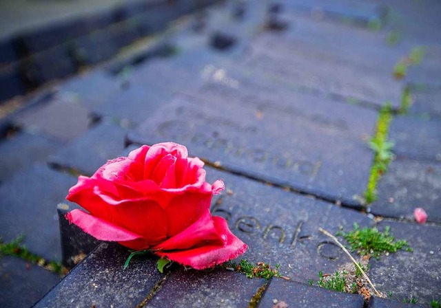 Erinnerung an das Ende des Zweiten Weltkrieg (Symbolfoto).  | Foto: Jens Bttner (dpa)