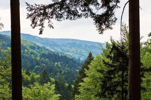 Bis zu 27 Grad: Viel Sonne im Sdwesten erwartet