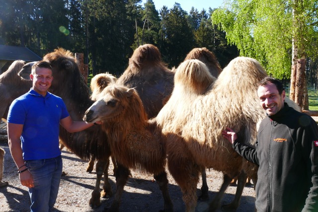 Betriebsleiter Patrick Hassler (links)...nmitten der sieben neugierigen Kamele.  | Foto: Martin Wunderle