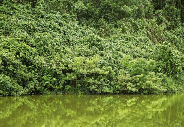 Hier verlief einst die Grenze zwischen Nord- und Sdvietnam: Ufer des Ben Hau    | Foto: Eberhard