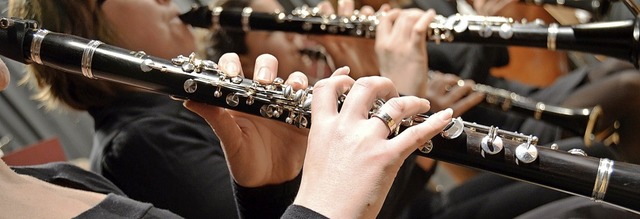 Musikvereine bieten auch Online-Unterricht an.  | Foto: Kathrin Blum