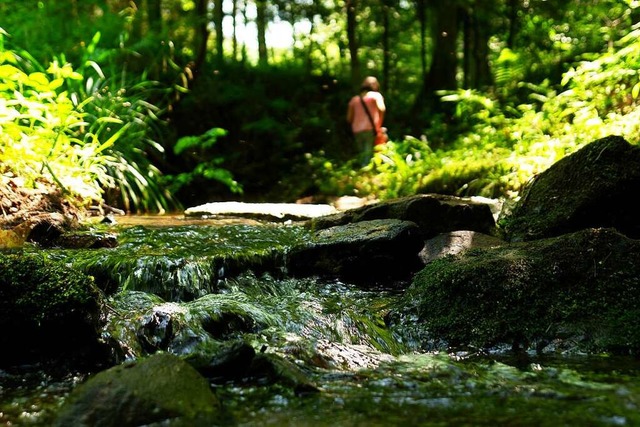 Der Wasserpfad in Sulz ist wieder offen.  | Foto: BZ