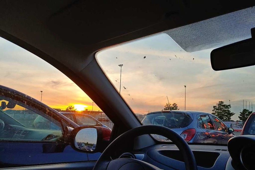 Im Kino sitzen und die untergehende Sonne bestaunen, das geht nur im Autokino.  | Foto: Maya-Katharina Schulz