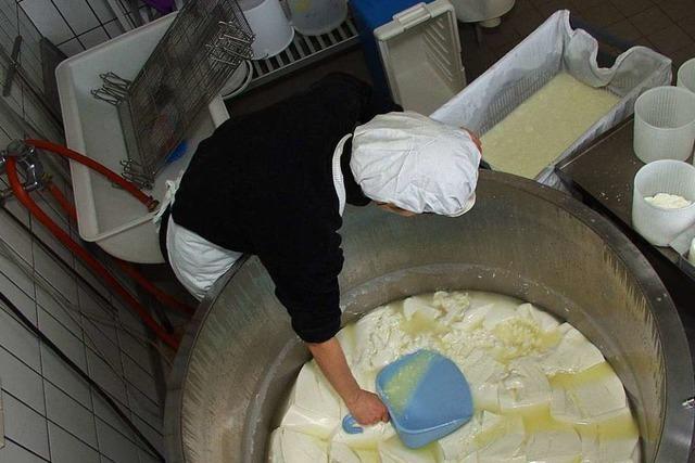 Der Tuniberger Käsemarkt soll ein Schaufenster für Käse aus der Region werden