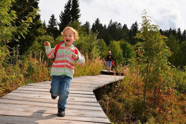 Acht Erlebnispfade fr Kinder rund um den Schwarzwald