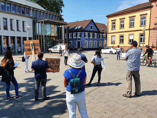 Die Lahrer Osteopathin Anette Franz (h...Mitte) organisierte die Demonstration.  | Foto: Karl Kovacs