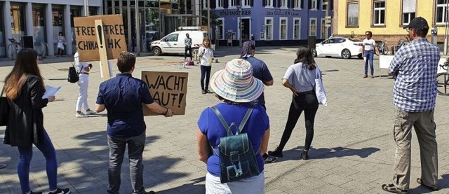 Die Lahrer Osteopathin Anette Franz (h...itte) organisierte die Demonstration.   | Foto: Karl Kovacs