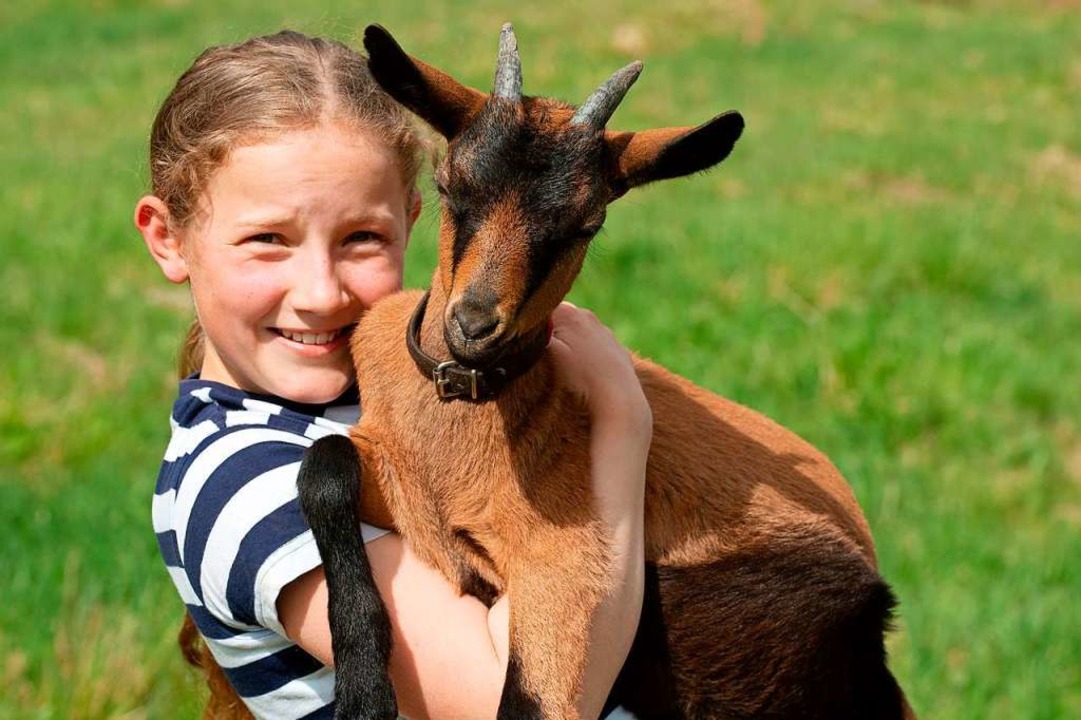 Einfach zum Knuddeln sind junge Geien.  | Foto: Wolfgang Scheu