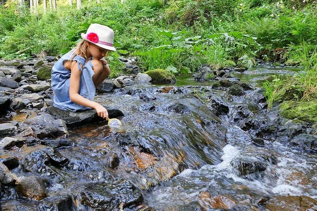 Kleiner Flusskrebs, wo bist du?  | Foto: Silke Kohlmann