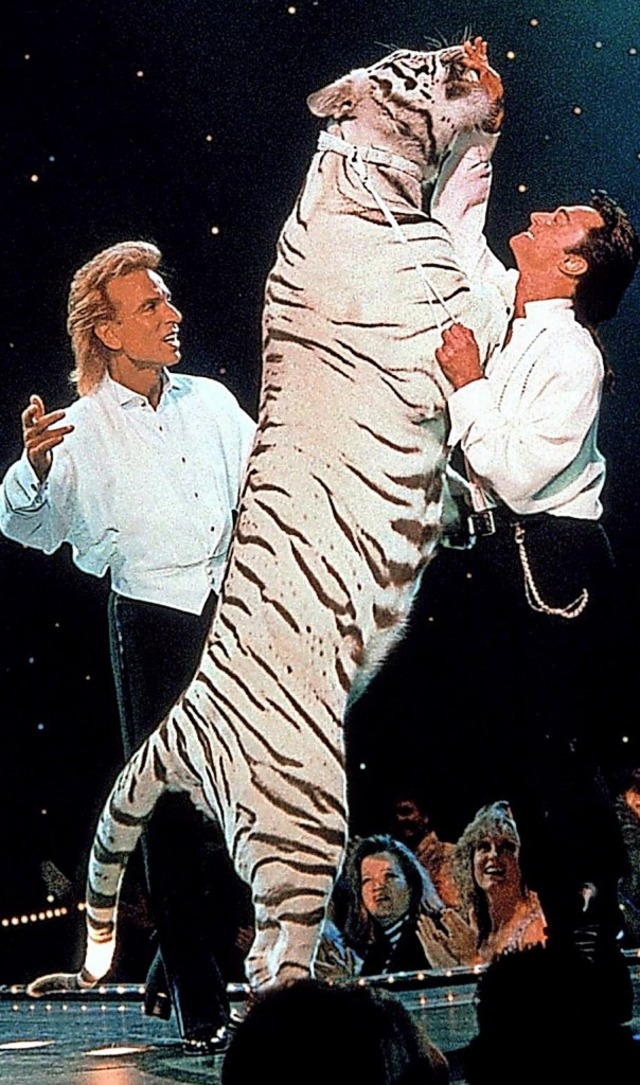 Roy Horn (rechts) liebte seine weien Tiger.   | Foto: Fotoreport (dpa)