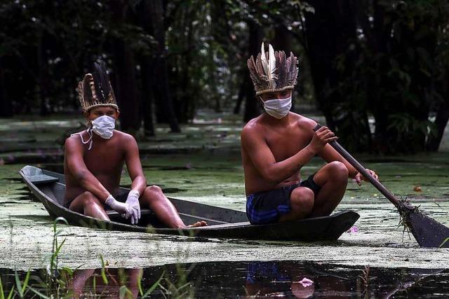 Waldrodung und Coronavirus: Die Ureinwohner im Amazonas gelten als gefhrdet