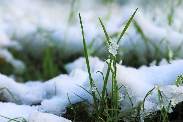 Fotos: Eisheilige im Hochschwarzwald